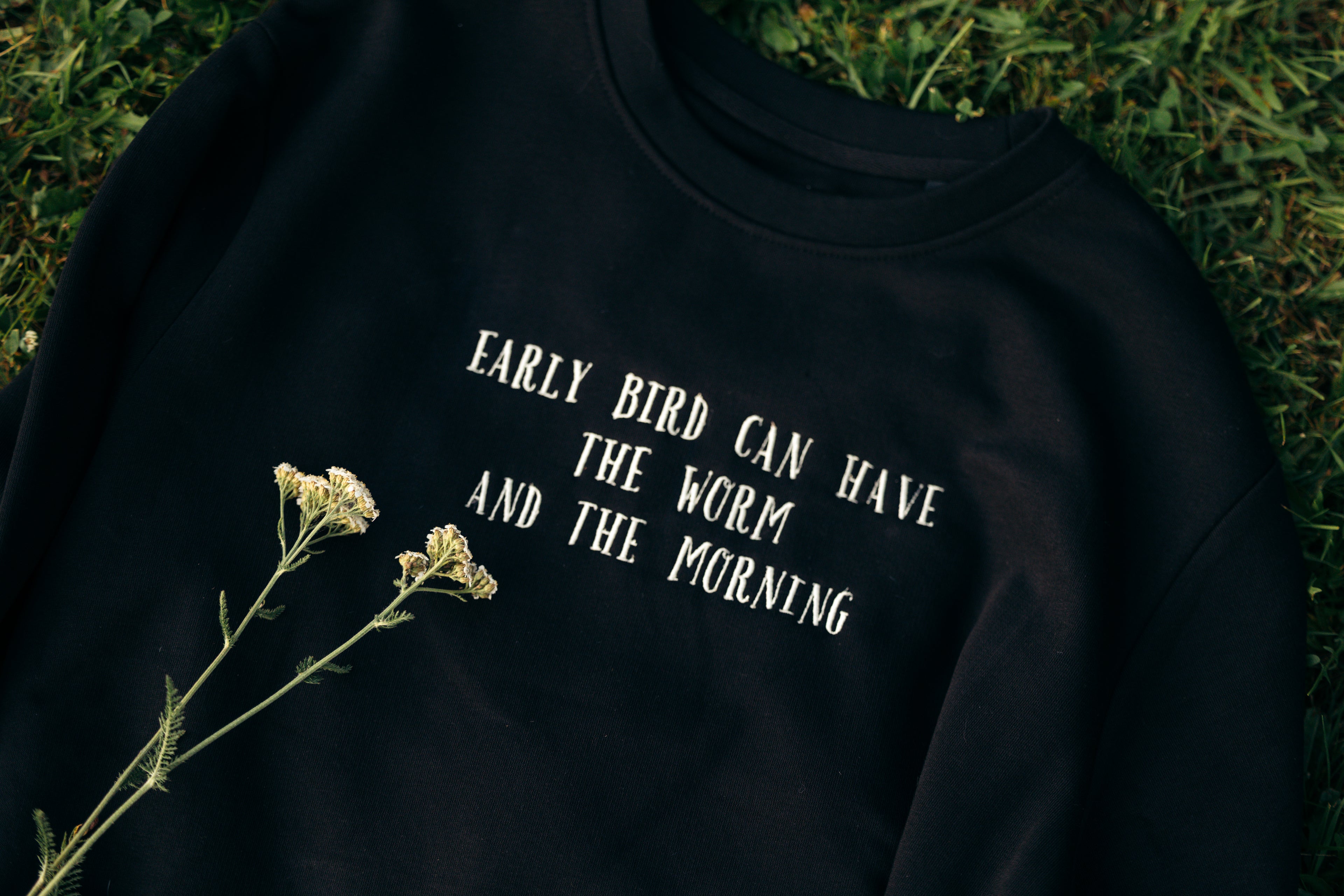 College, Early Bird
