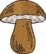 Pipo luontoaiheisella kuvalla tai omalla tekstillä.